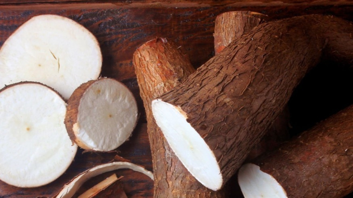 yuca.jpg