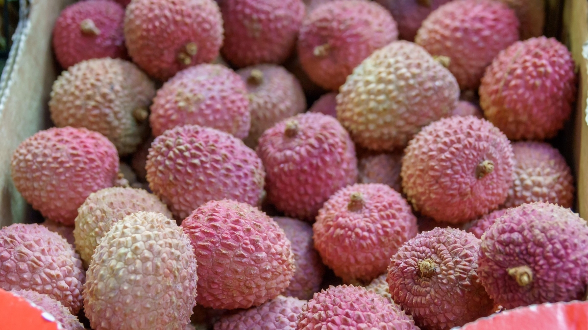 aviavlad-litchi-3653171_1920.jpg