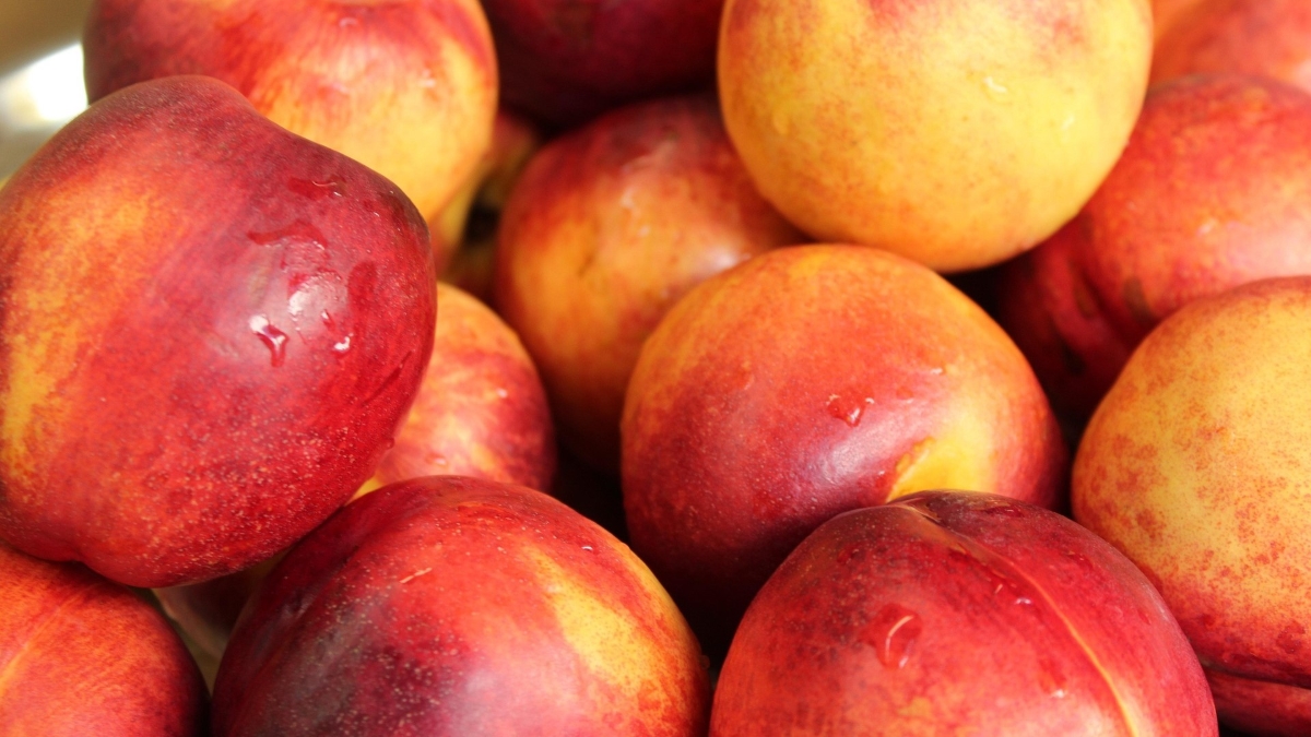 alicja-nectarines-4534241_1920.jpg
