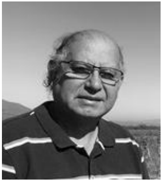Cautín Morales, Ricardo