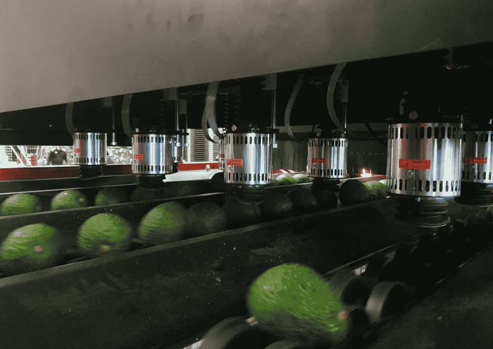 AFS Sense de AWETA para evaluar la firmeza del aguacate mediante respuesta ac&uacute;stica