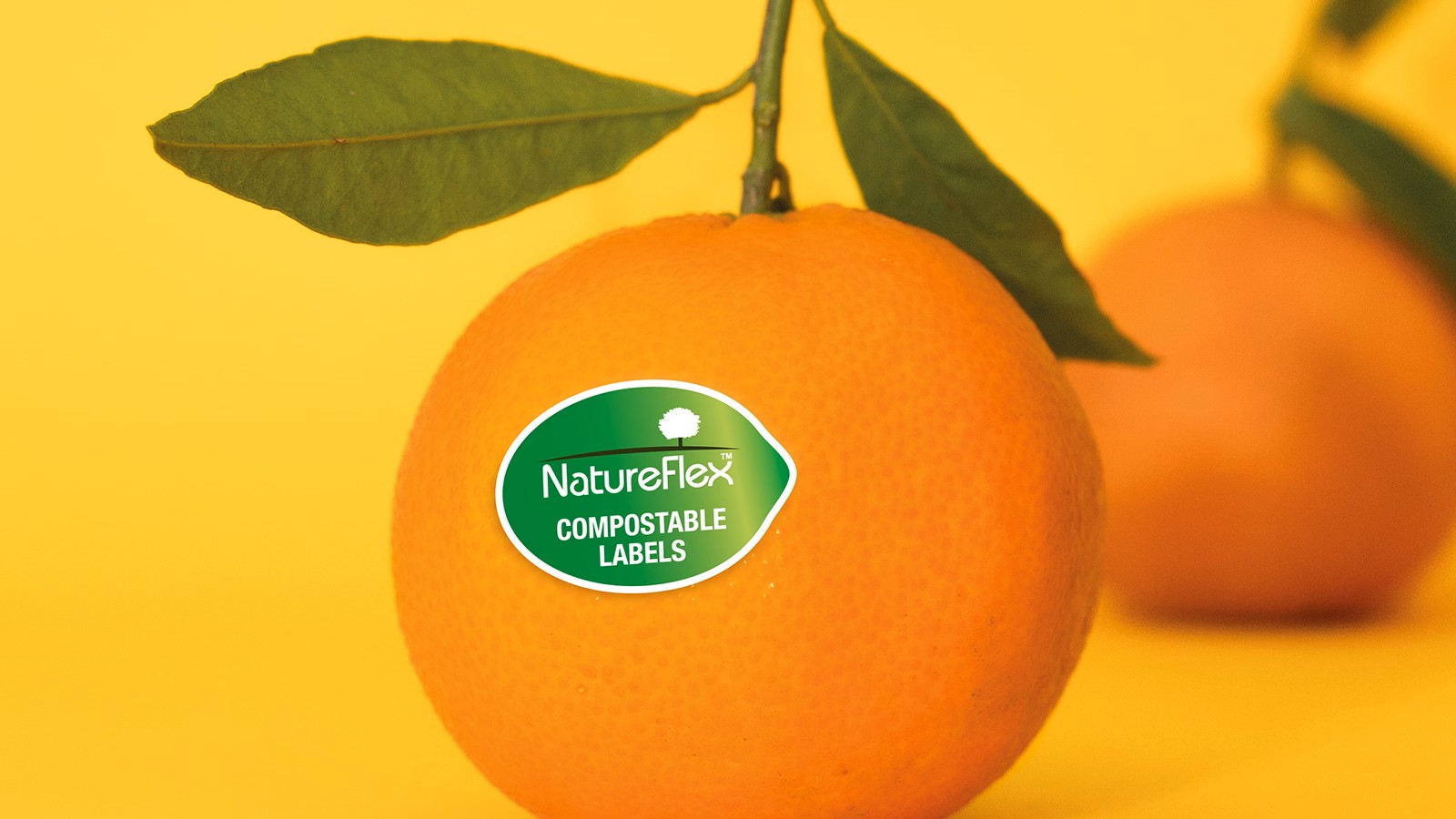 blog-NF-Compostable-Label-Orange-b.jpg