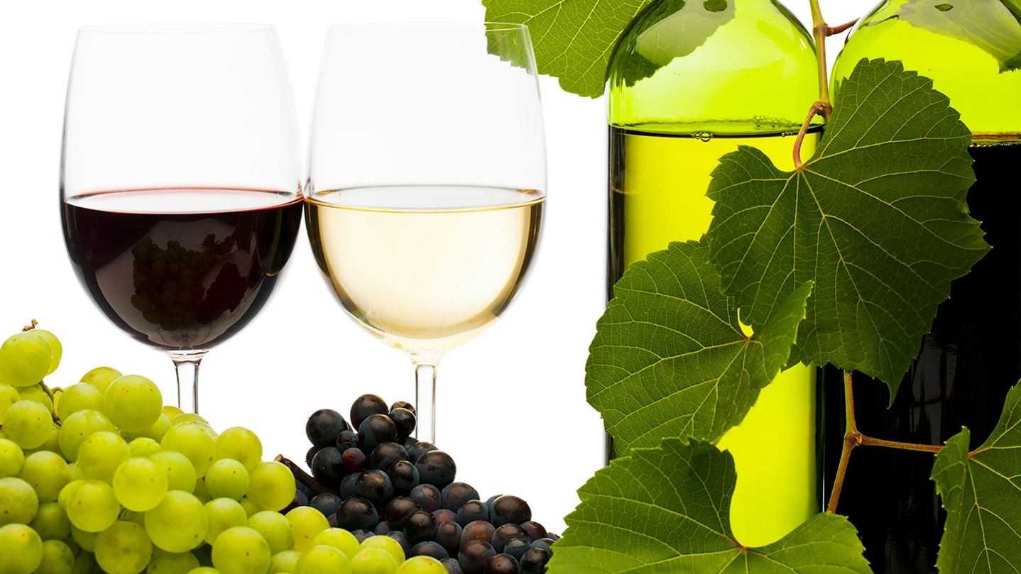 184379628-wine-bottles-16x9.jpg