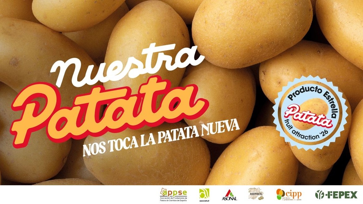 Patata_Nueva-02.jpg