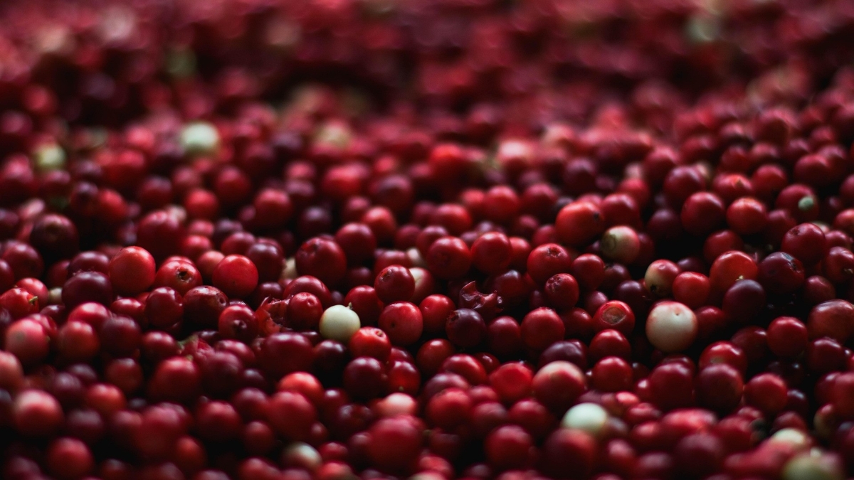 pexels-berries-1851161_1920.jpg