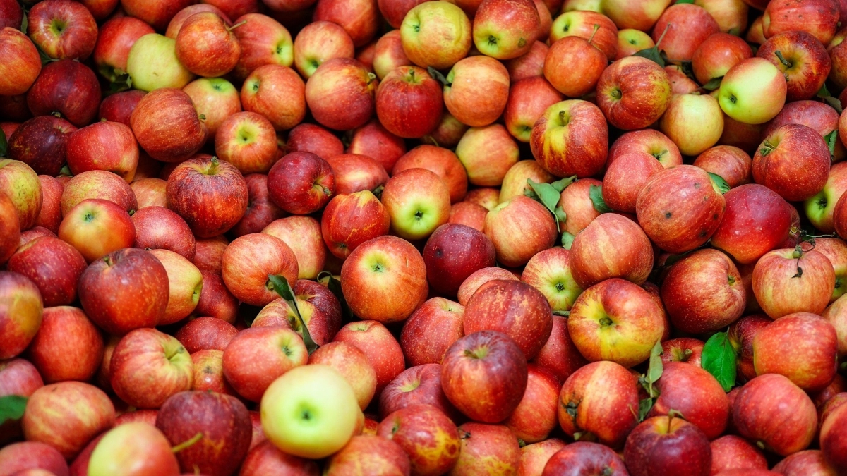 daledbet-apples-5619618_1920.jpg
