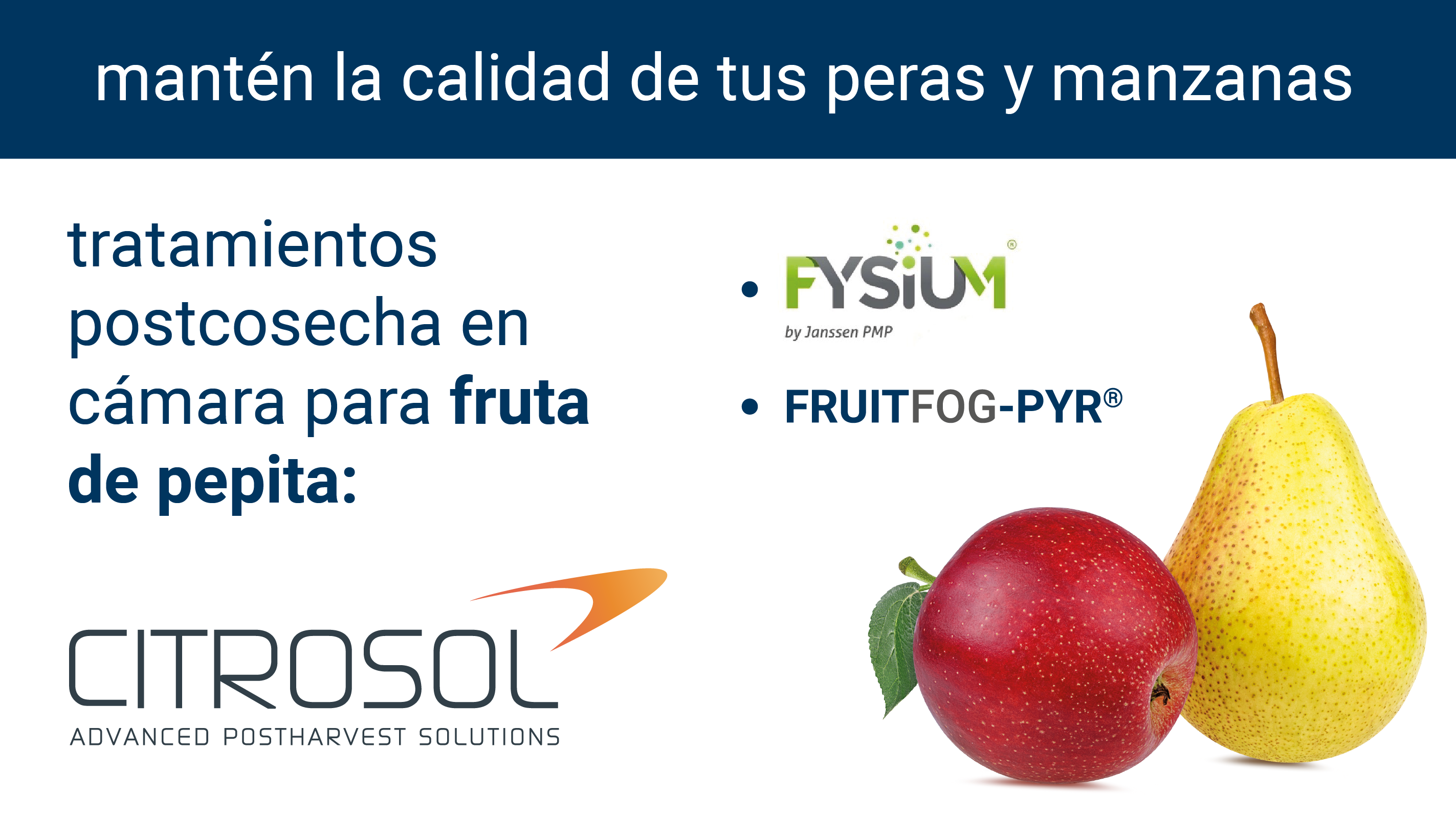 FRUTADEPEPITARRSS_Mesa-de-trabajo-1-e1690384598208.png