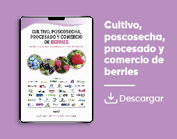 Cultivo, poscosecha, procesado y comercio de berries