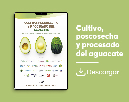 Cultivo, poscosecha y procesado del aguacate