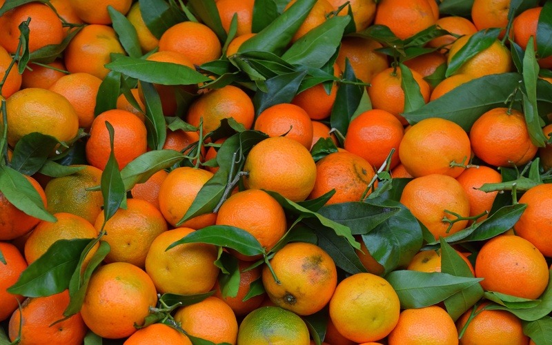 fresh-ripe-mandarin-486351-800x500-1.jpg