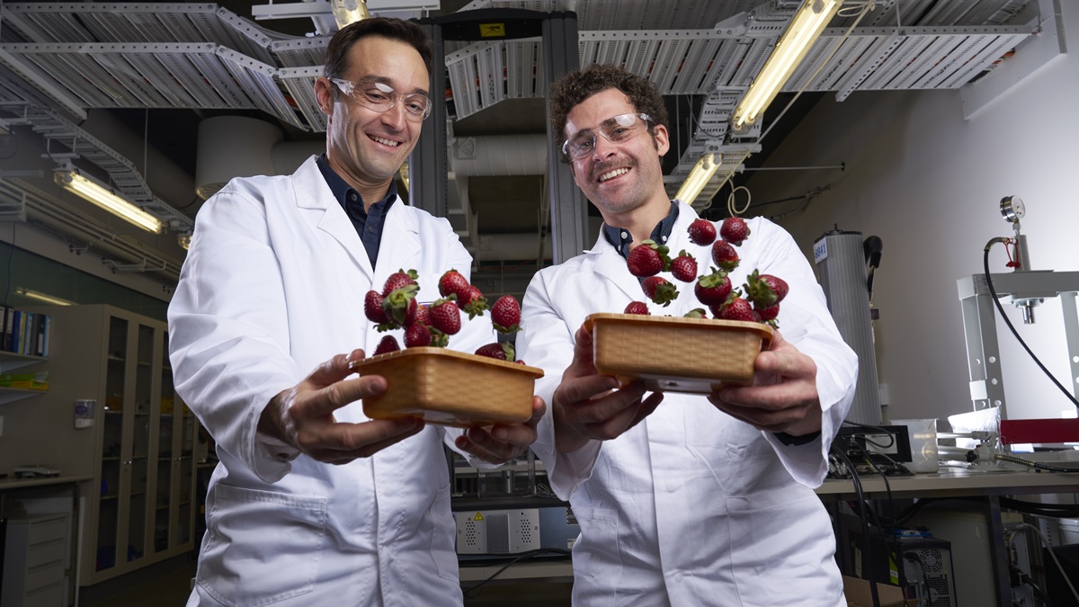 Investigadores de la Universidad de Queensland desarrollan un plástico ...