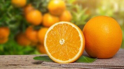 Como-mantener-la-calidad-de-las-naranjas-2-1c.jpeg