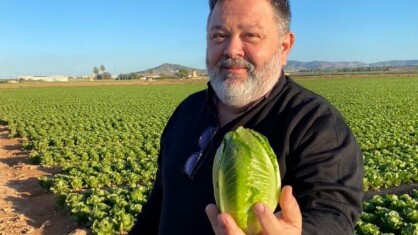 Lechuga-Snack®-un-concepto-revolucionario-2-1c.jpg