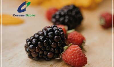 El-uso-del-ozono-en-la-conservación-de-frutas-y-hortalizas.jpg