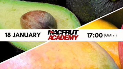 Macfrut-Academy-el-mercado-europeo-del-aguacate-y-el-mango.png