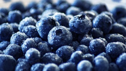 blueberries-gc973512d6_1280-e1661262198796.jpg