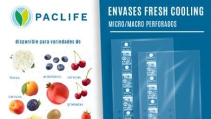 paclife-e1661333299813.jpg