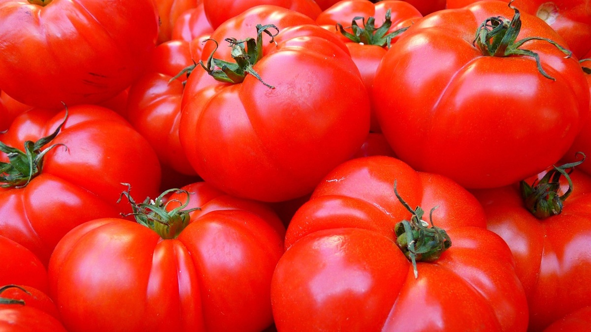 tomatoes-5356_1280.jpg