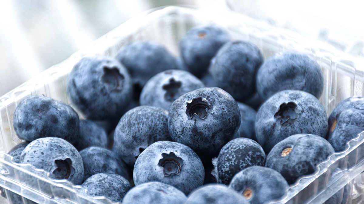 blueberries-7472945_1280.jpg