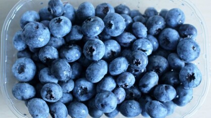 blueberries-gff2653b08_1280-e1676905511424.jpg