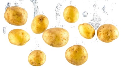 iStock_000027148667_Full-e1680163803248.jpg