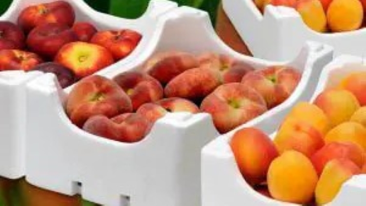 montaje-cajas-fruta-300x300.jpg