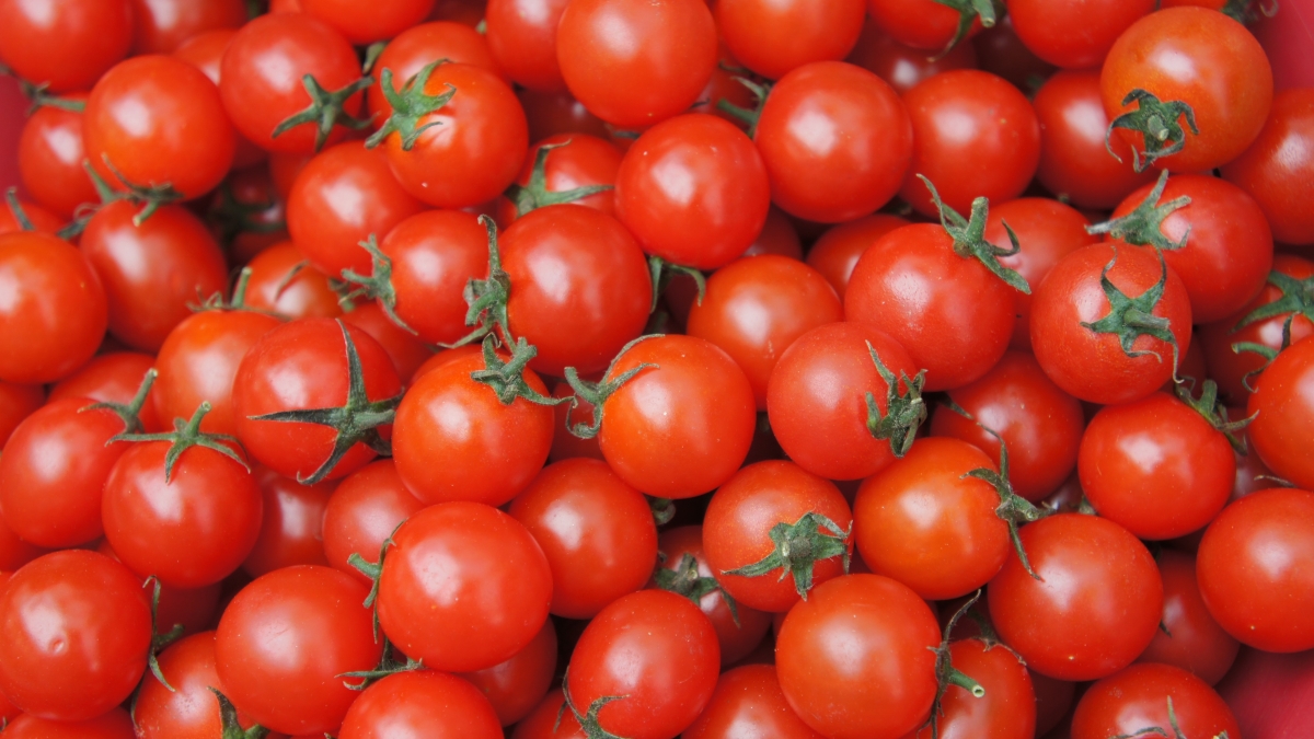 snowday83-cherry-tomato-4330441.jpg