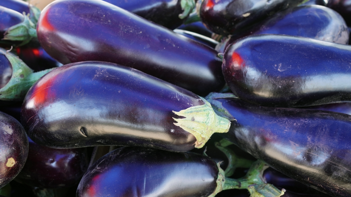 alexman89-eggplant-5477716.jpg