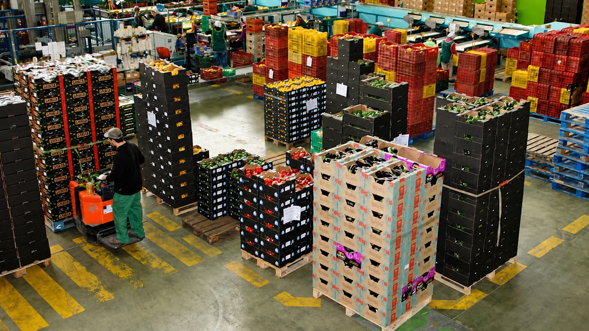ayudas-modernizacion-empresas-agroalimentarias-almacen-hortofruticola.jpg