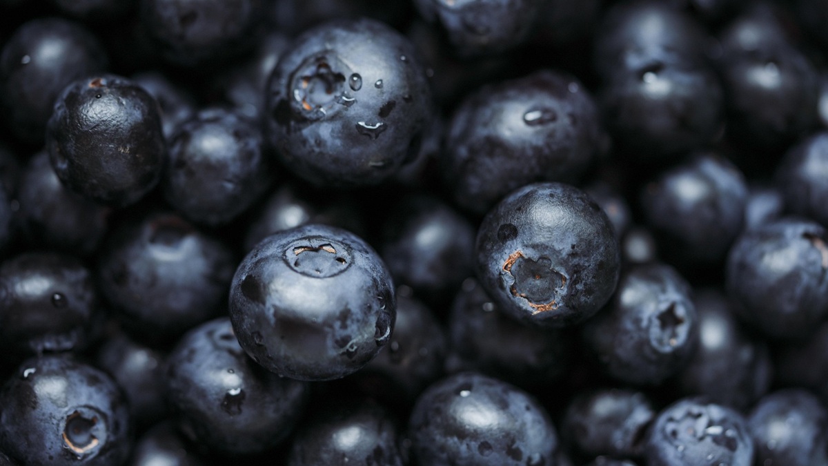 berries-humedad-mohos-deshidratacion-poscosecha.jpg