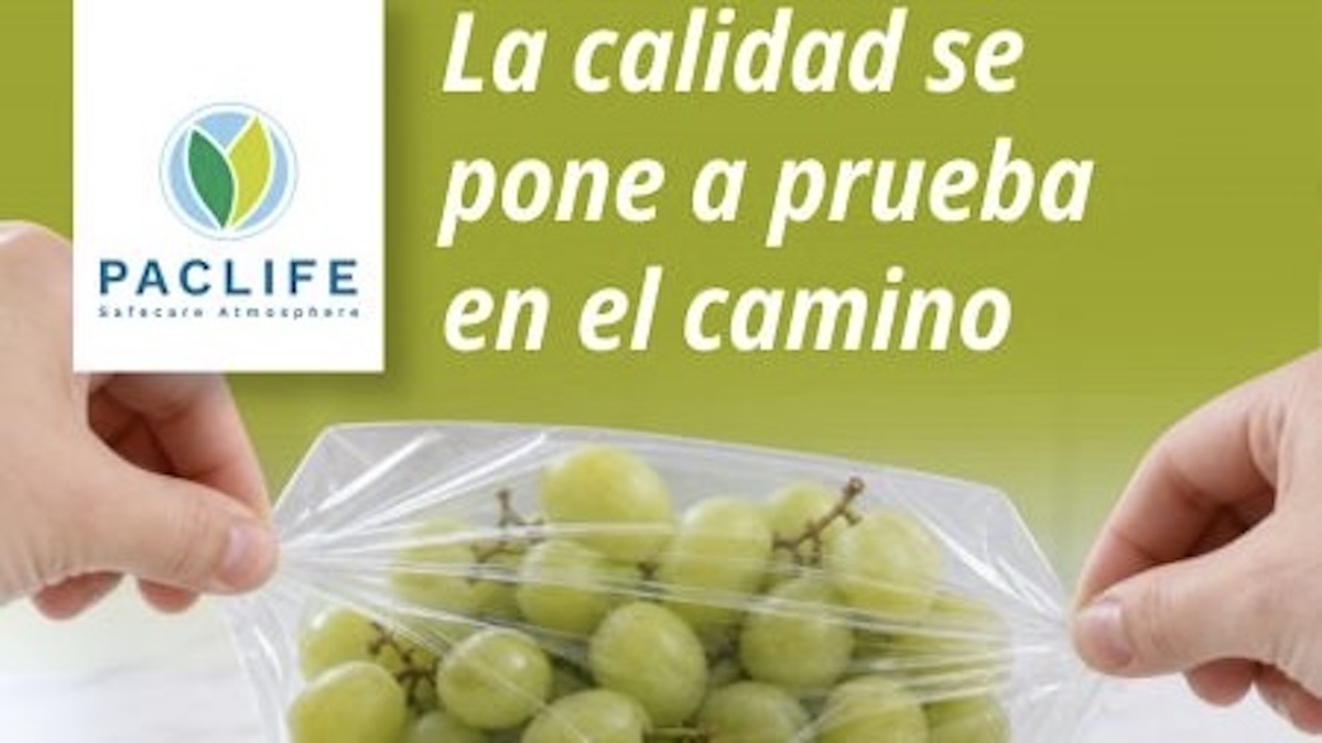 GnIukGcUWBXGuxqMH5xC2khq25vxlMevyRIfjAc5.jpg