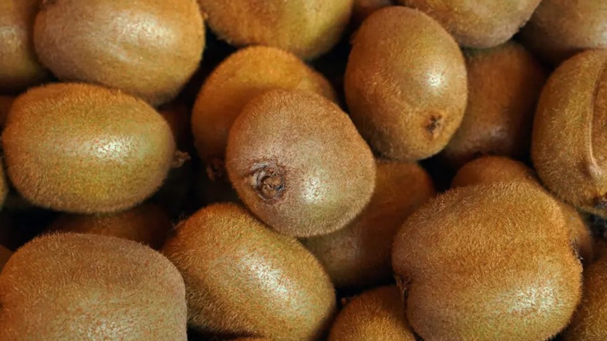 kiwi-fruta-poscosecha.jpg