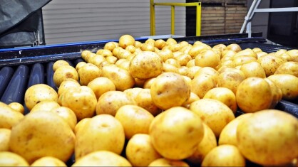 potatoes-2123698_1280-e1596728463666.jpg