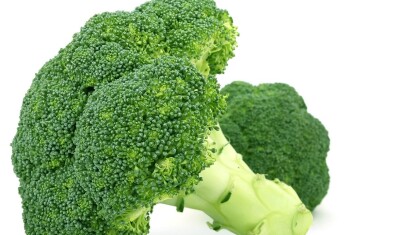 broccoli-1238250_1280-e1698231127868.jpg