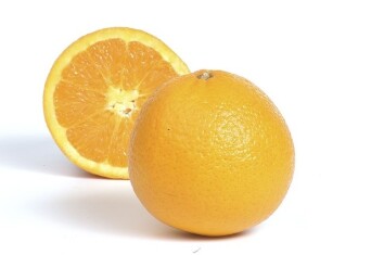 Ifapa-conservación-frigorífica-naranjas.jpg