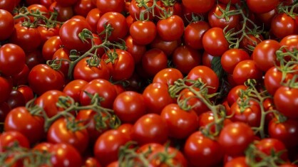 tomatoes-8181194_1280-e1699222468209.jpg