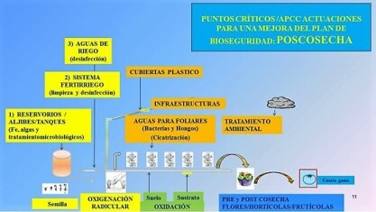 cebe-higiene-seguridad-alimentaria.jpg