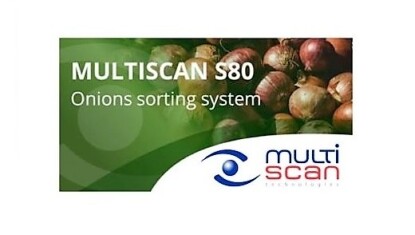multiscan-s80-cebolla-industria.jpg