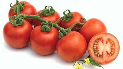 semillas-fito-tomate-ferdinand.jpeg