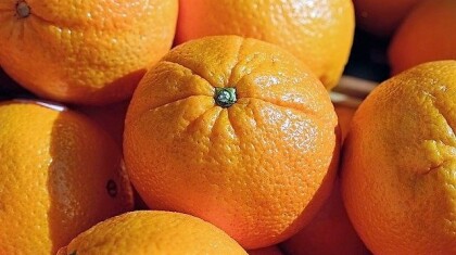 sanifruit-conservaciones-citricos.jpg