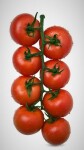 Fito-alcazaba-tomate-C-V.jpg