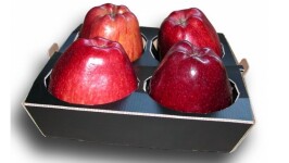 ejido-carton-envase-manzana.jpg
